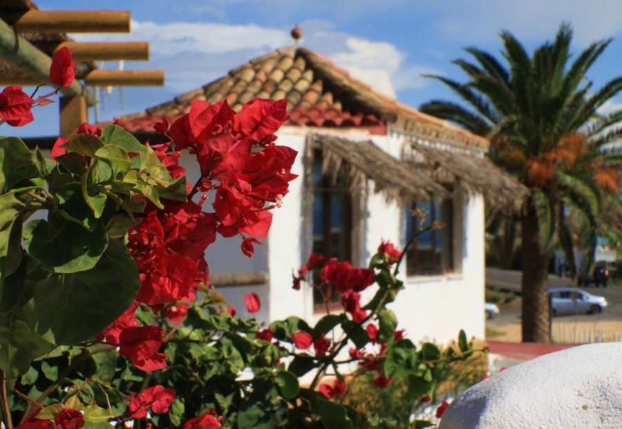 Kite lessons + pack in Tarifa
