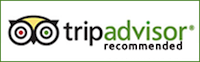 Tripadvisor Reviews